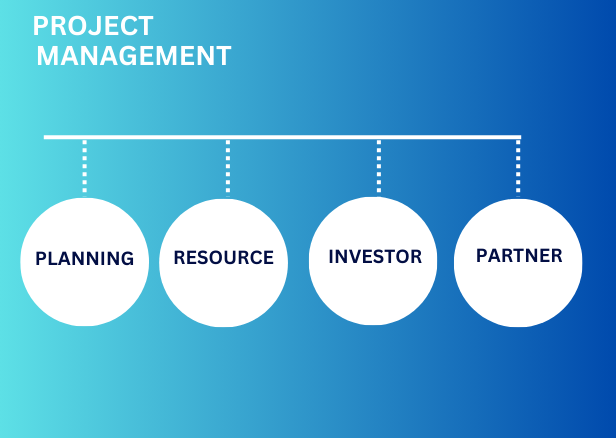 International Project Management 
